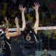 Vakıfbank Fenerbahçe
