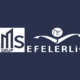 Efeler Lig